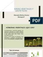 Hormonas Vegetales y Sinteticas Presentación