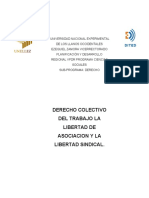 Derecho Colectivo Del Trabajo La Libertad de Asociacion y La Libertad Sindical.