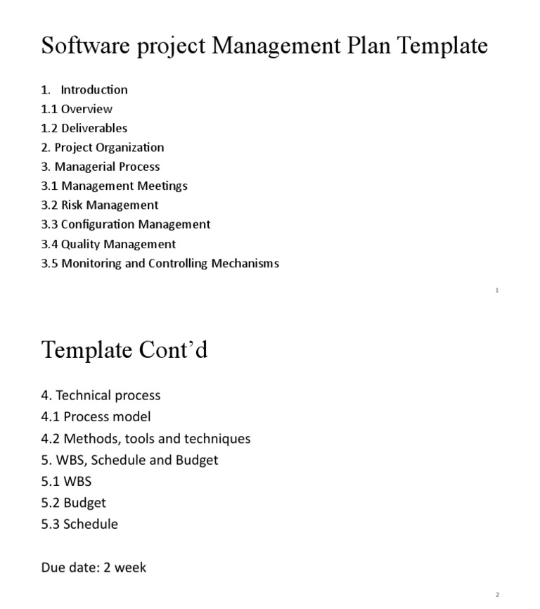 PMP Template | PDF