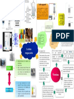 Filtracion Lechos Empacados Procesos