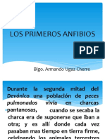 Los Primeros Anfibios