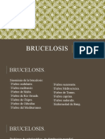 Brucelosis, Rabia, Leptospira