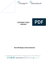 Actividad 3 20% Neurofisiología y Neuroanatomía