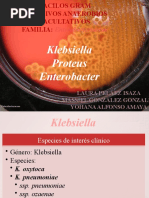 Download Bacilos Gramneg Klebs_ Ent y Prot_2011_10 by royer944 SN56179038 doc pdf