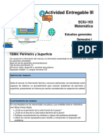 Actividad Entregable Iii Sciu-163 Tremestre 1 M