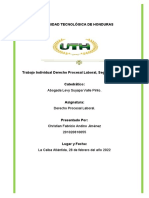 Trabajo Individual Derecho Procesal Laboral, Segundo Parcial.