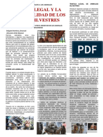 Periodismo Informativo