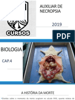 A história da determinação da morte