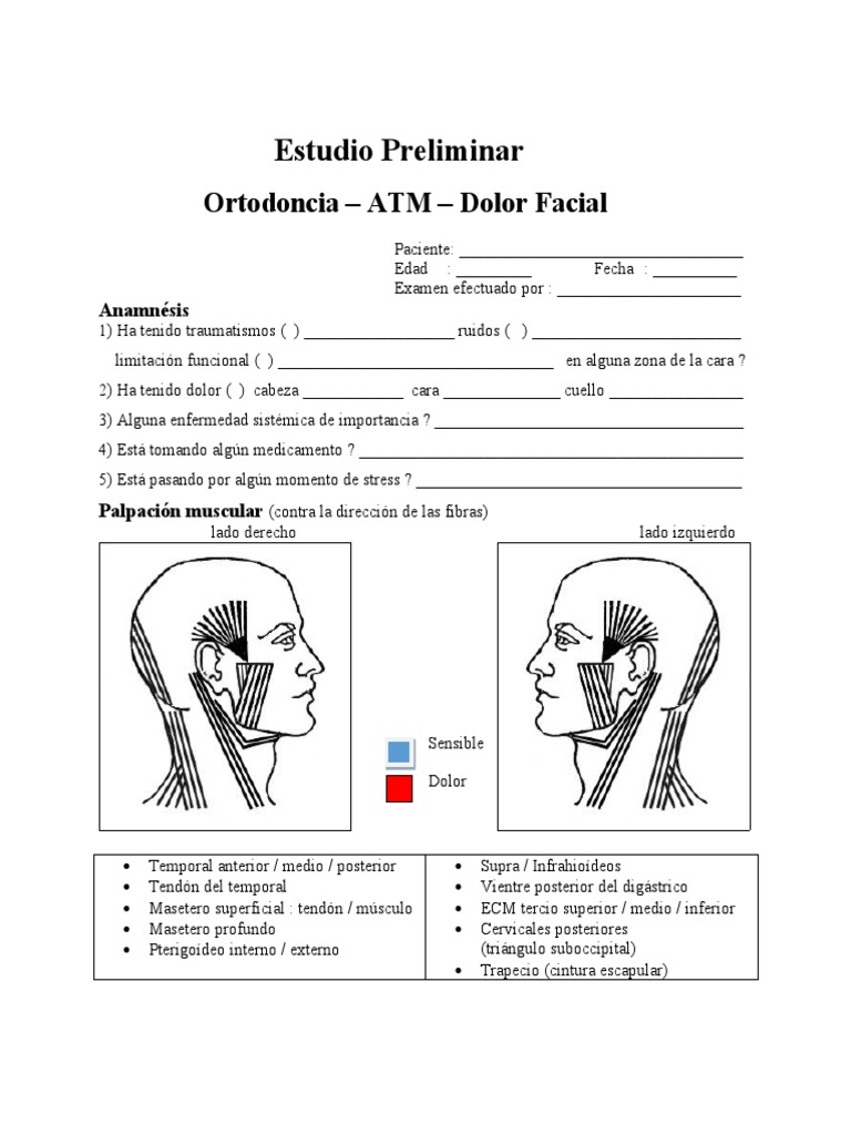 Mapa Del Dolor PDF Medicina CLINICA Anatom a