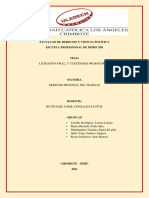 Litigacion Oral, y Cuestiones Probatorias PDF