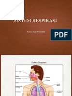 3. Sistem Respirasi PPT