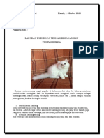 Laporan Budidaya Ternak Kesayangan Kucing Persia Shaquille Nathan Kalevi (33) Viii-1