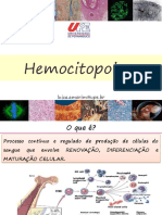 AULA 1-Hemocitopoese
