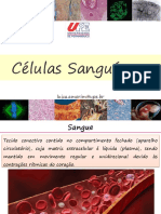 AULA 2-Células Sanguíneas