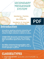 Secondary Messanger System