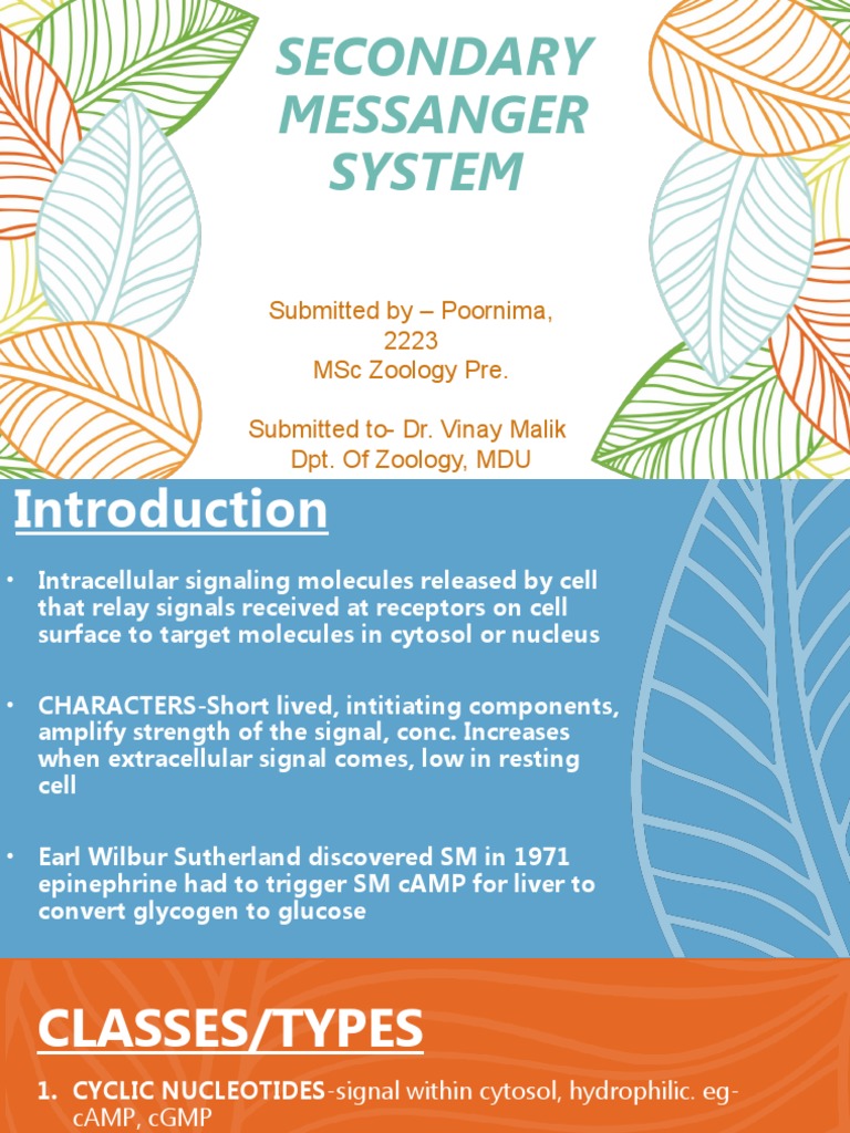 Overview of Secondary Messenger Systems | PDF