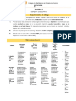 P1 BIO2 Actividad 4 Sistema Endocrino