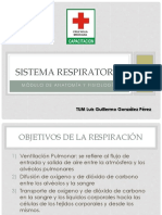 Sistema Respiratorio