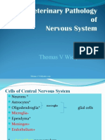 Pathology of Nervous System2020