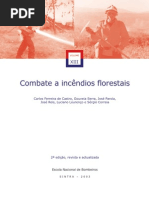 XIII-incêndios flor