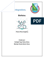 Actividad Integradora