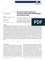 Sperm Protamine Deficiency Correlates With Sperm DNA Damage in Bos Indicus Bulls