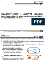 T02 Estructura - Microbiana 222C