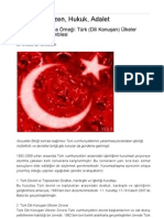 Dr. Ali Asker Pdf3034-Bir Kurumsallasma Ornegi Turk (Dili Konusan) Ulkeler Par Lam Enter Asamblesi