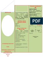 Leaflet DBD