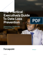 Whitepaper Practical Executives Guide Data Loss Prevention en