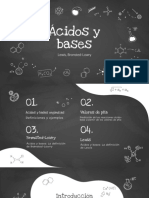 Presentación de Acidos y Bases