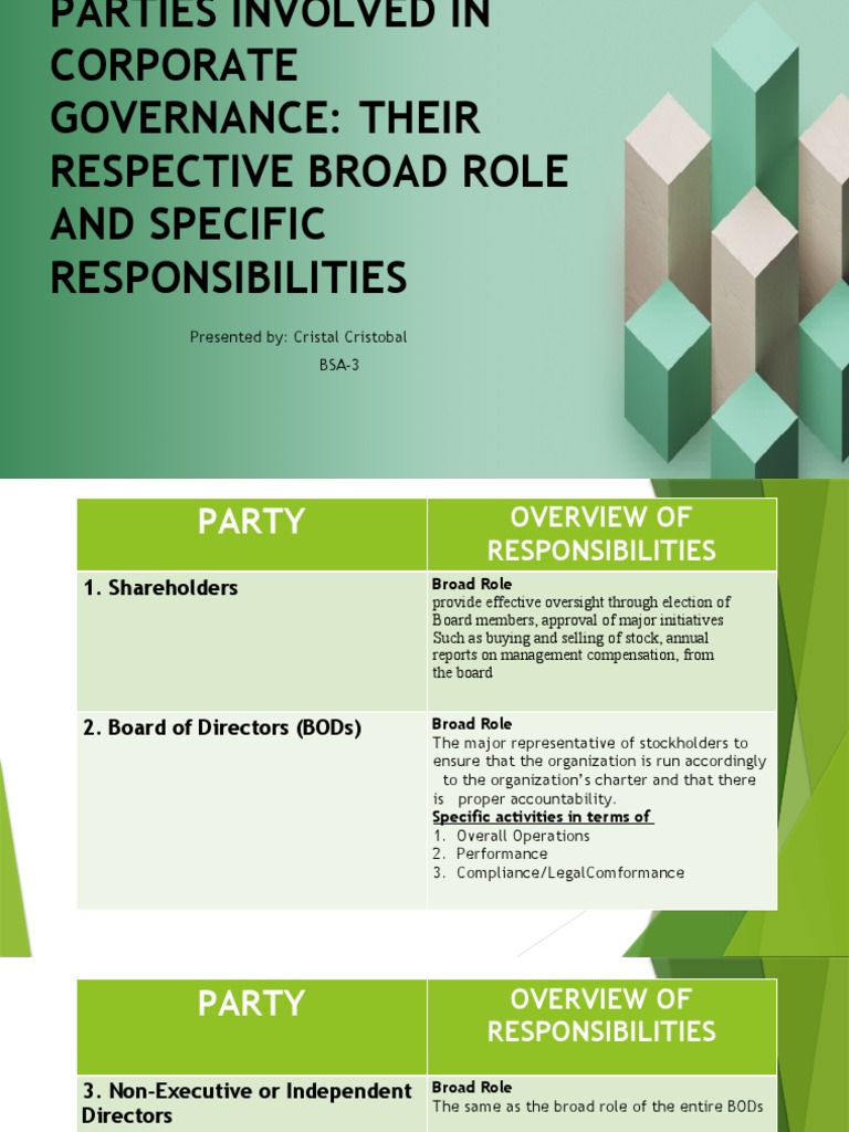 Corporate Governance Roles and Responsibilities | PDF | Audit ...