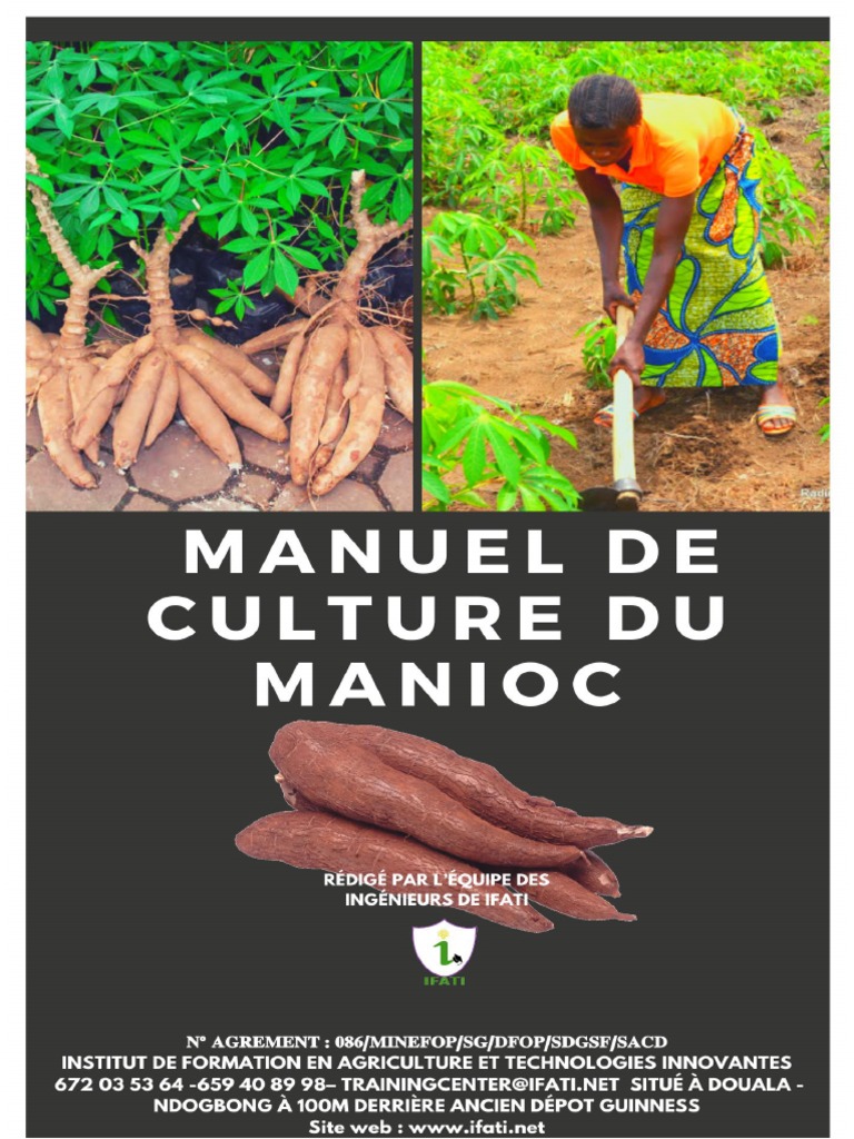 MANIOC | PDF | Racine | Sol (pédologie)