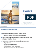 Chapter 9 The Endocrine System