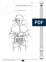 Human Body Assessment Practice