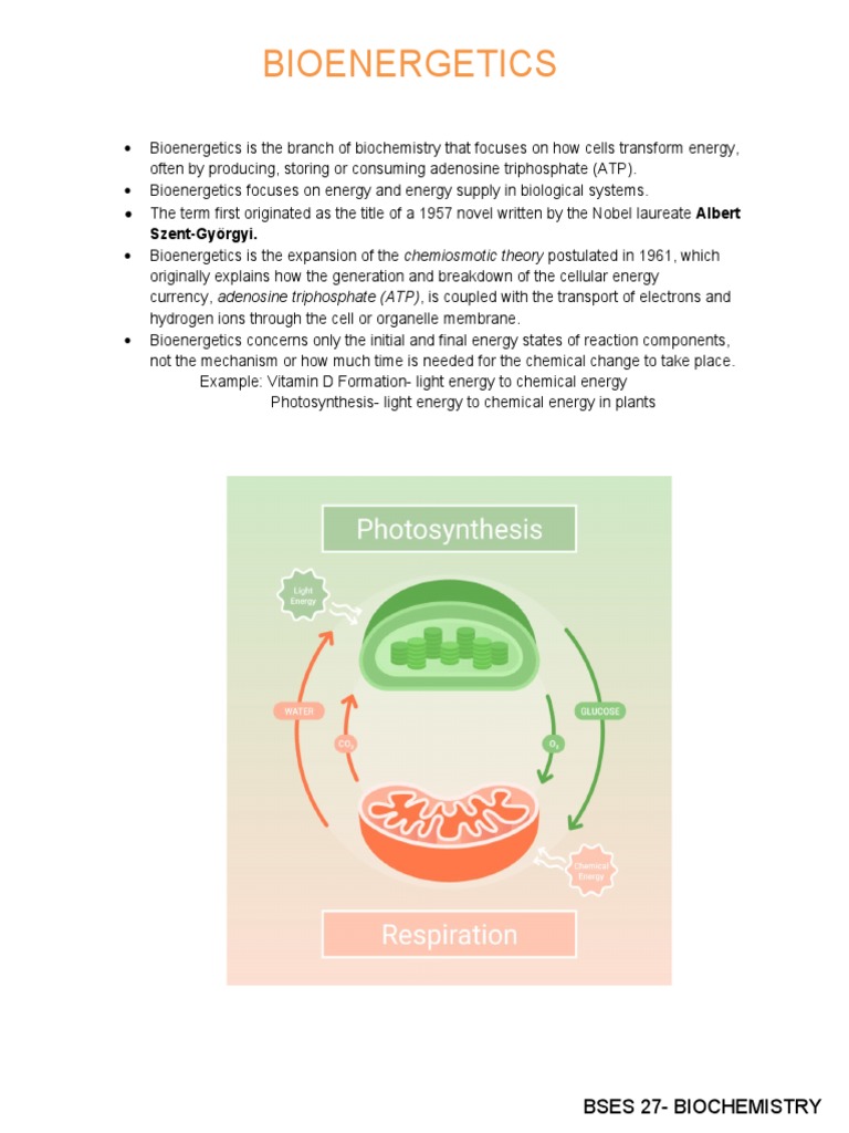 Introduction to Bioenergetics in Biochemistry | PDF | Diet & Nutrition ...