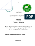 Thesis Popova Alyona