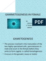 Gammetogenesis in Female