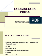Curs Structura ADM