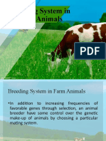 Breeding System in Farm Animals