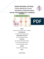 Informe - Practica N°8 - Jeffer Romero Neira..