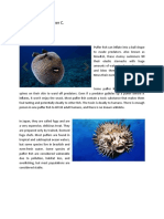 Pioquinto, Kylee Esther C. 5 - Tanzanite Puffer Fish