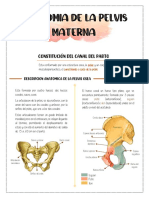 Anatomía del canal del parto: pelvis ósea y blando