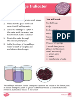 Red Cabbage pH Indicator Science Experiment