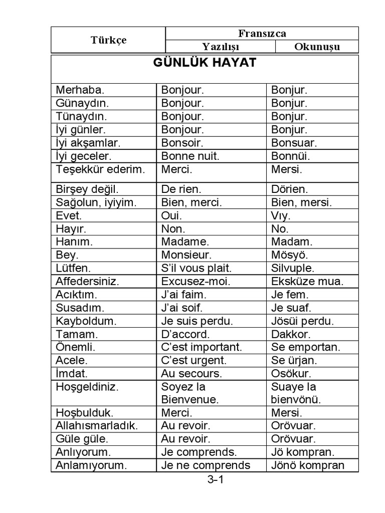 FRANSIZCA GÜNLÜK KONUŞMA