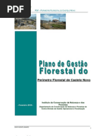 2021 01 28 Pgf Pf Castelo Novo Plano