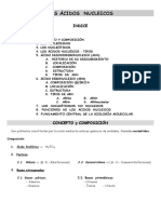 Ácidos nucleicos: concepto, composición y tipos de ADN y ARN