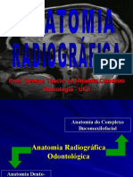 Anatomia Radiologica 2007.2