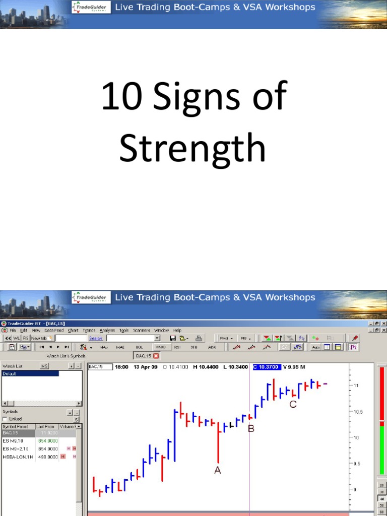 Signs of Strength VSA PDF