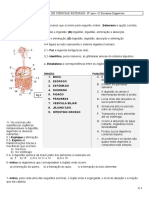 O Sistema Digestivo Humano: Funções, Órgãos e Processos